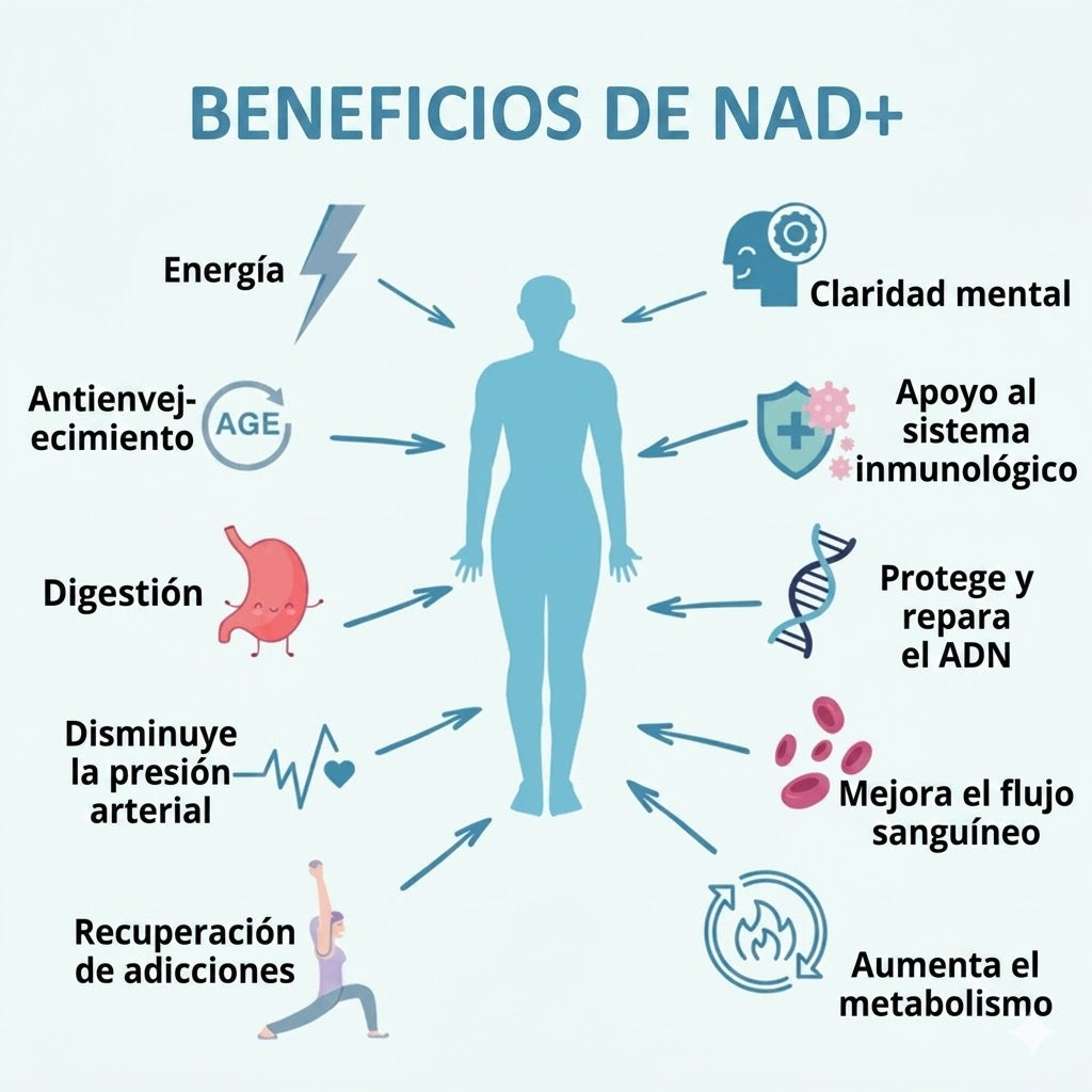 NAD + RESVERATROL 60 cap