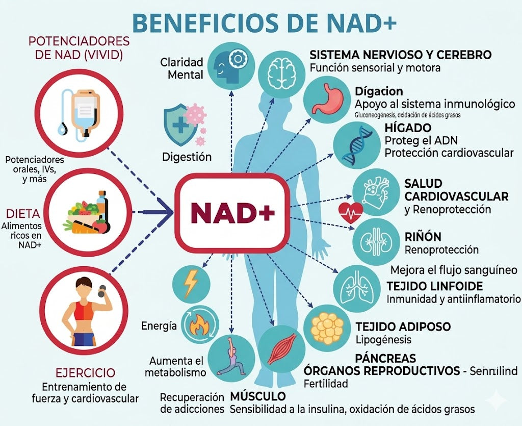 NAD + RESVERATROL 60 cap