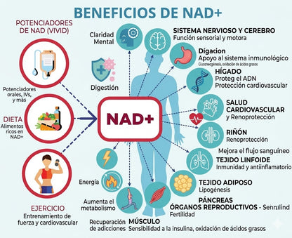 NAD + RESVERATROL 60 cap